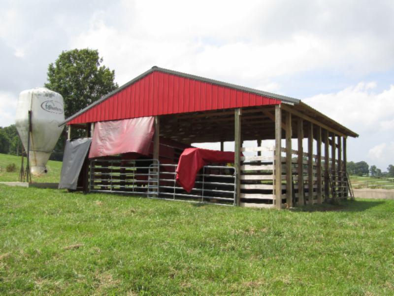 0 Carl Rogers Road Moss, TN 38575 - Photo 6 of 30 a view of a house with a yard