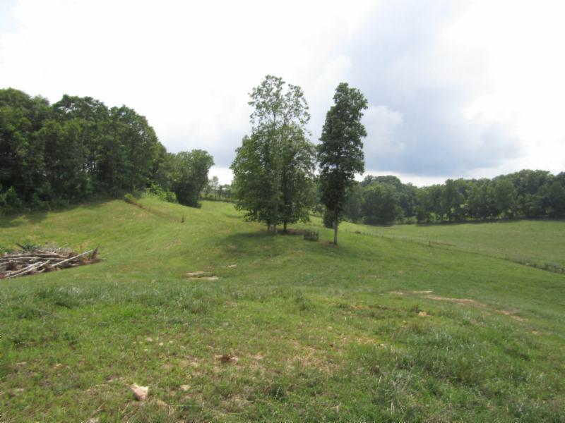 0 Carl Rogers Road Moss, TN 38575 - Photo 9 of 30 a view of field with trees in the background