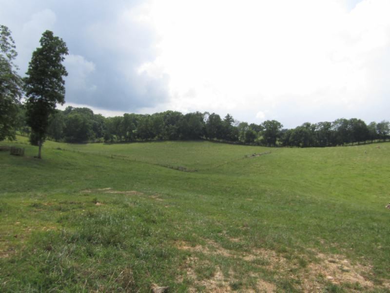 0 Carl Rogers Road Moss, TN 38575 - Photo 10 of 30 a view of a field with an ocean