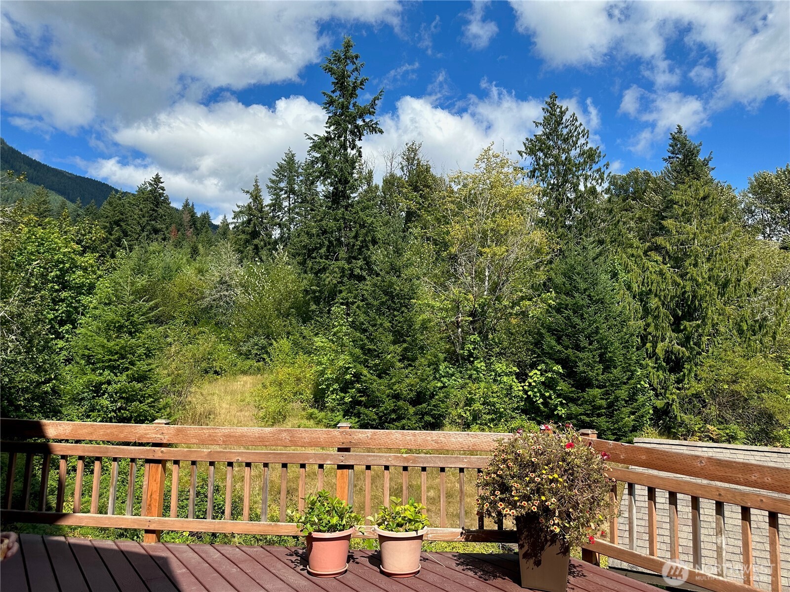 108 Long And Winding Road Randle, WA 98377 - Photo 31 of 38 Gallery Image 31