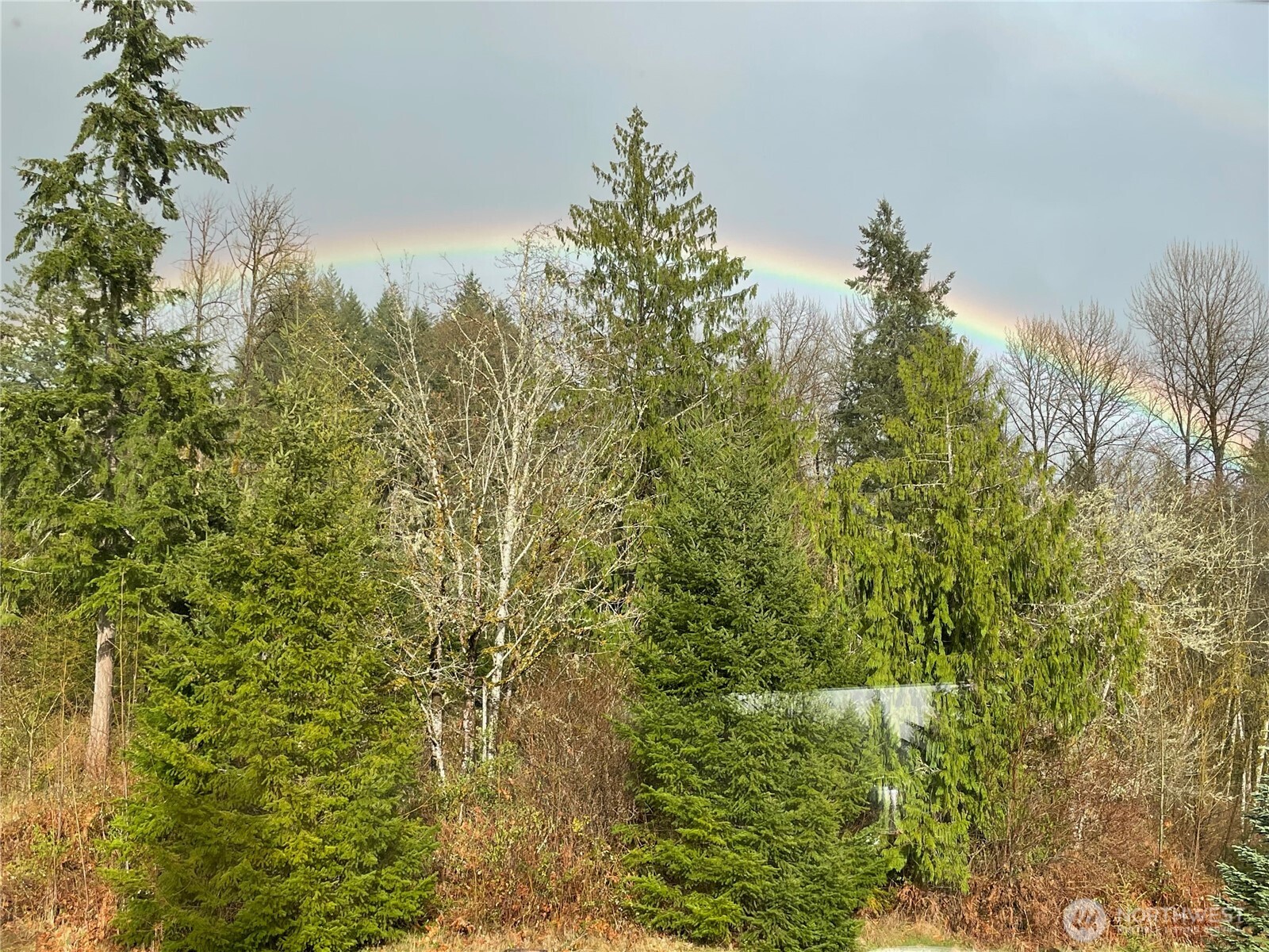 108 Long And Winding Road Randle, WA 98377 - Photo 36 of 38 Gallery Image 36
