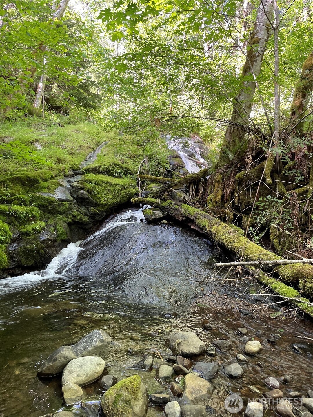 108 Long And Winding Road Randle, WA 98377 - Photo 8 of 38 Gallery Image 8