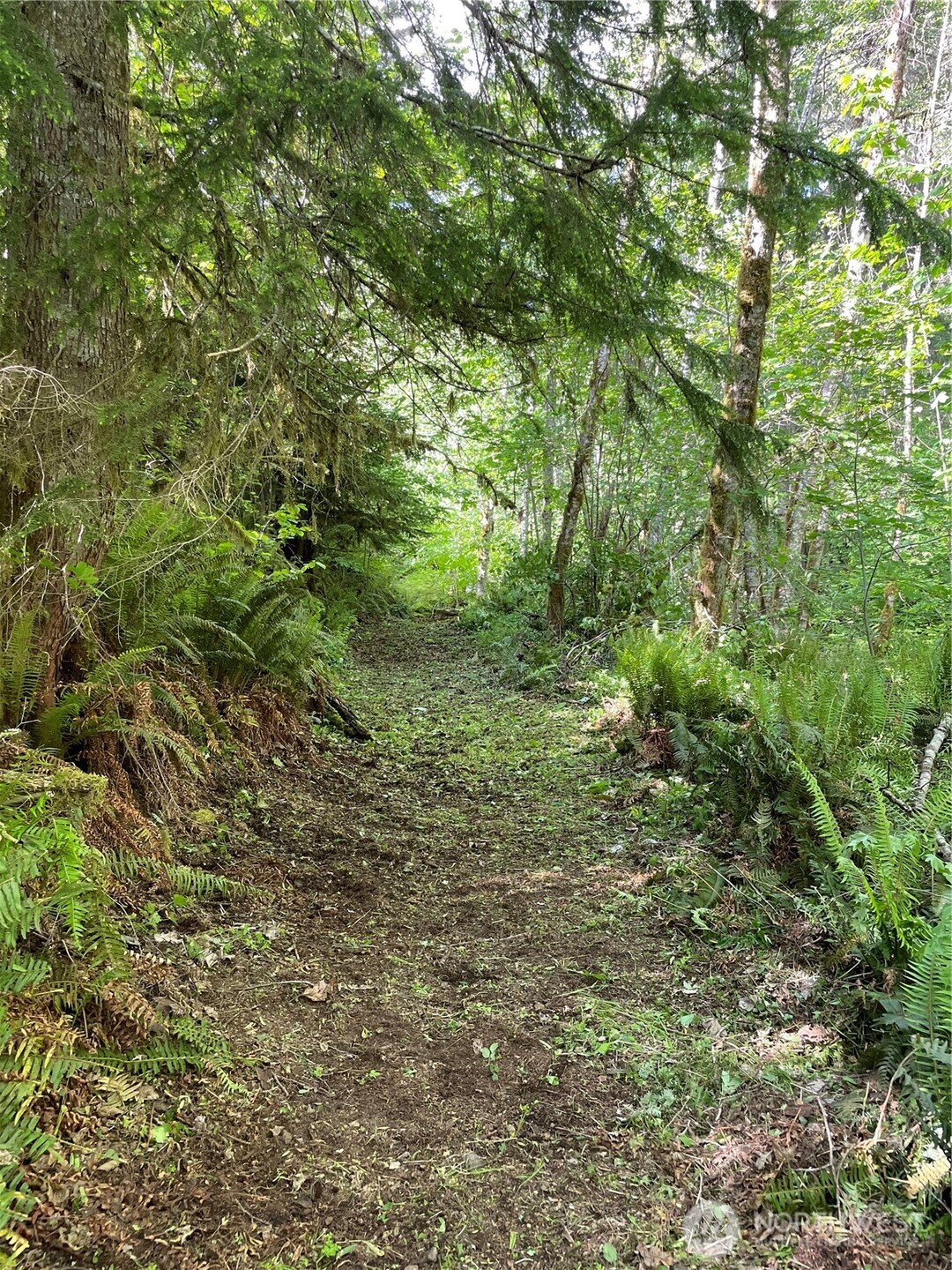108 Long And Winding Road Randle, WA 98377 - Photo 10 of 38 Gallery Image 10