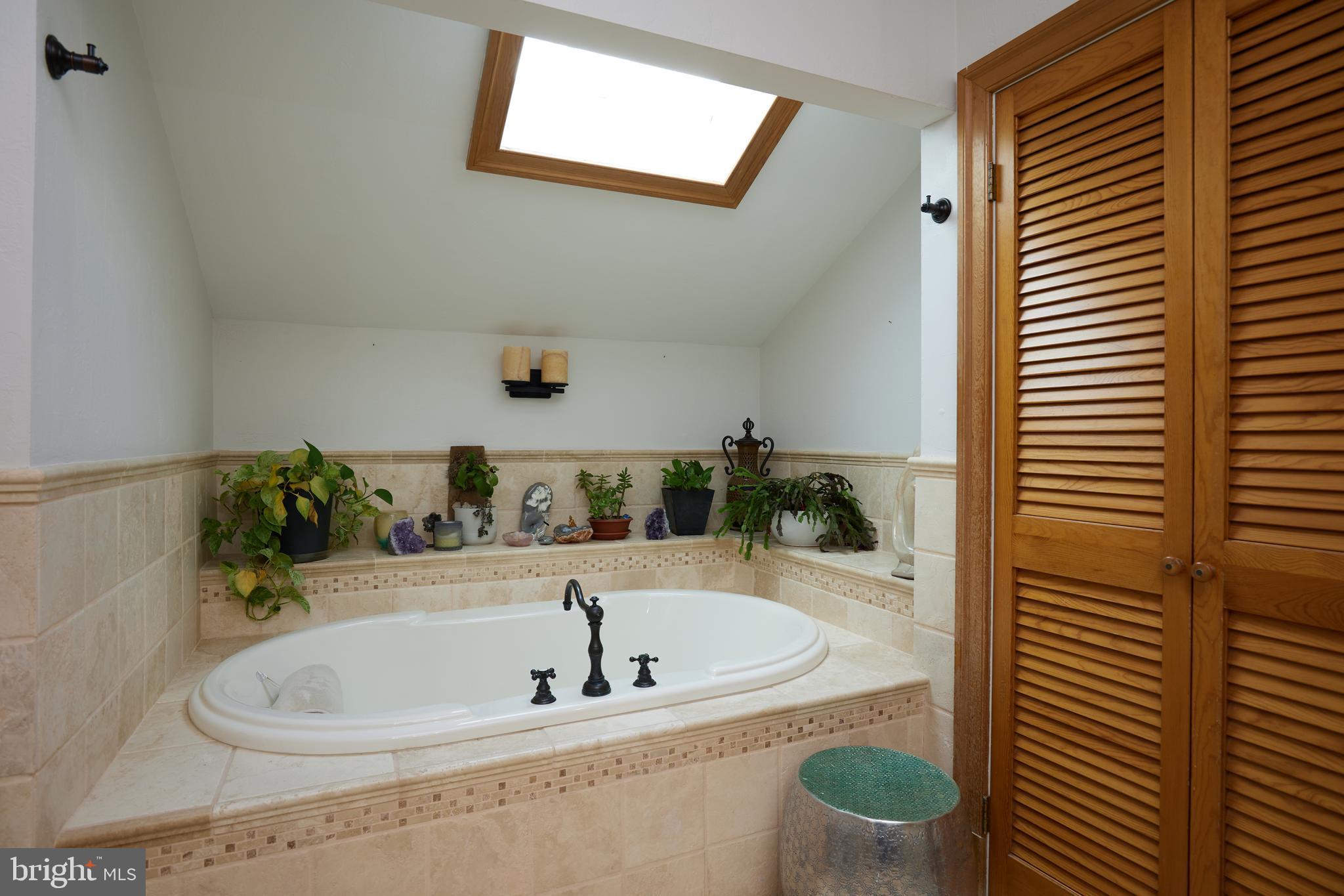 9904 Bluegrass Road Potomac, MD 20854 - Photo 39 of 68 Separate tub, skylight.
