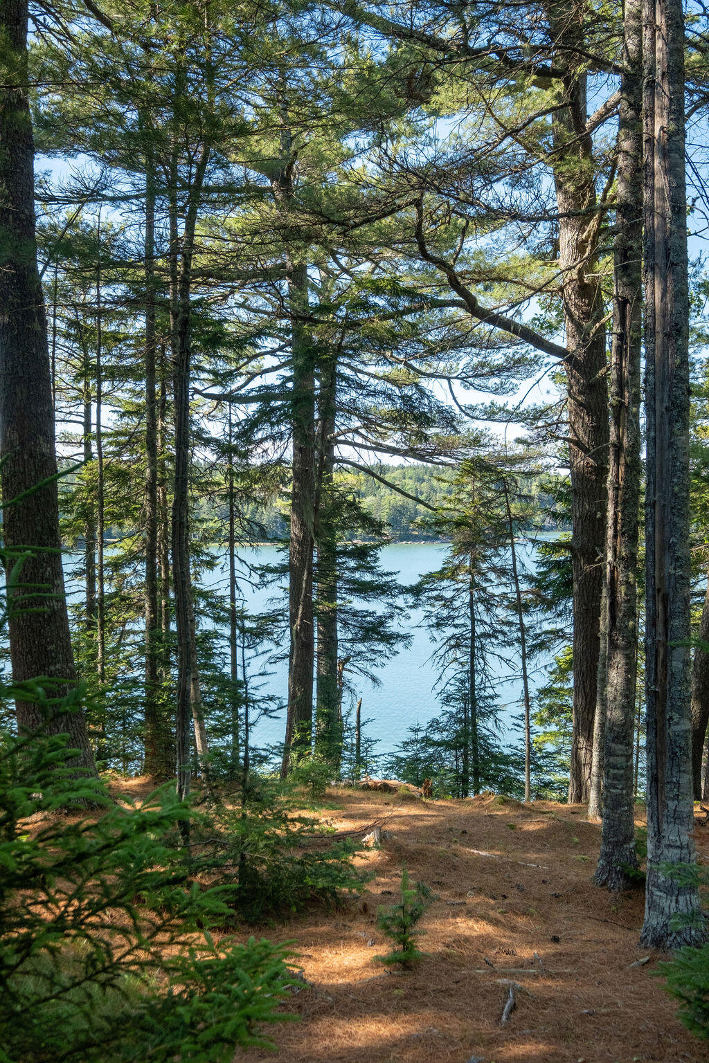 0 Inner Hbr Road Stonington, ME 04681 - Photo 23 of 50 InnerHarborcamp-23