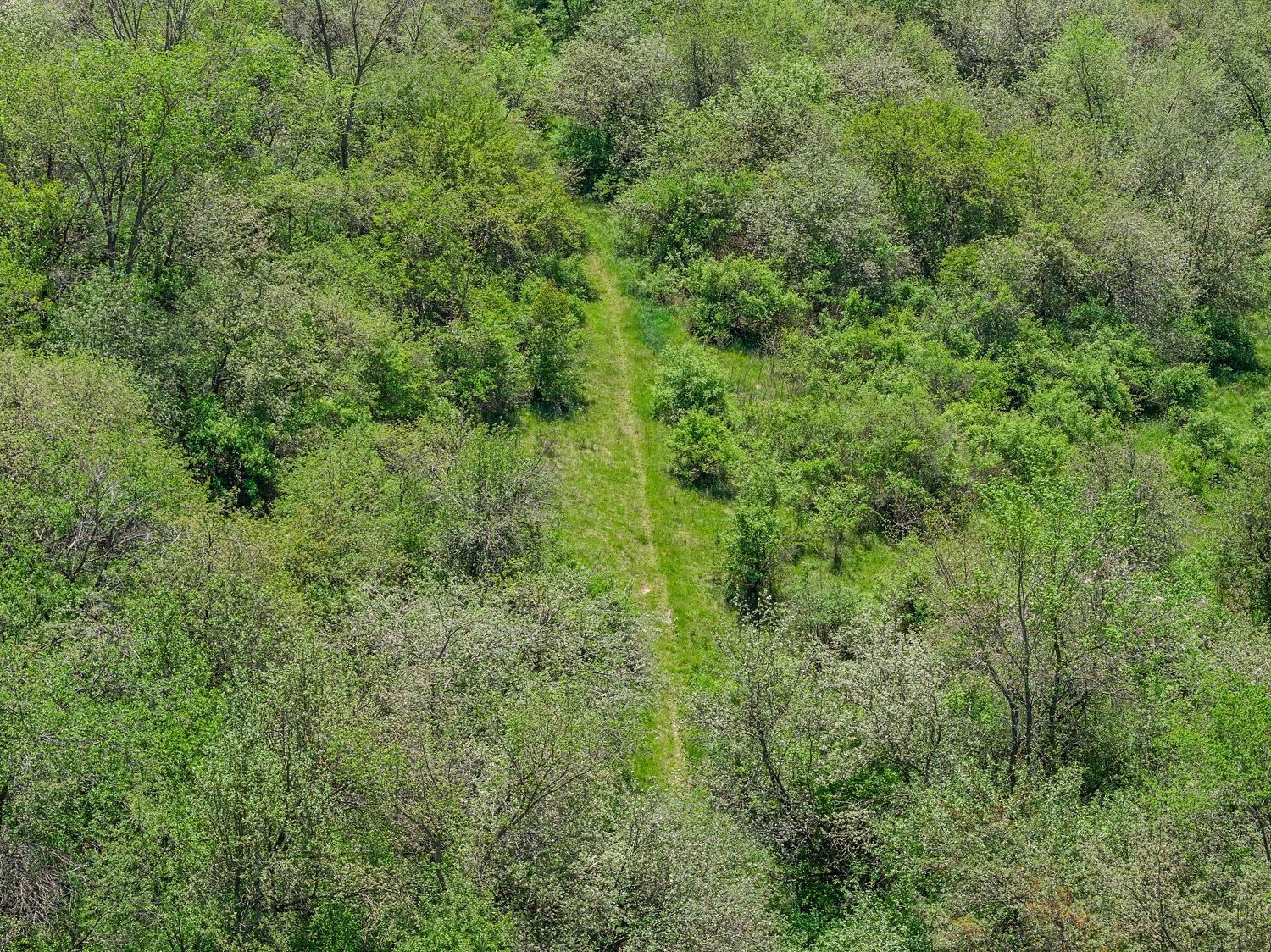 35.38-acres Finnegan Road Reedsburg, WI 53959 - Photo 8 of 19