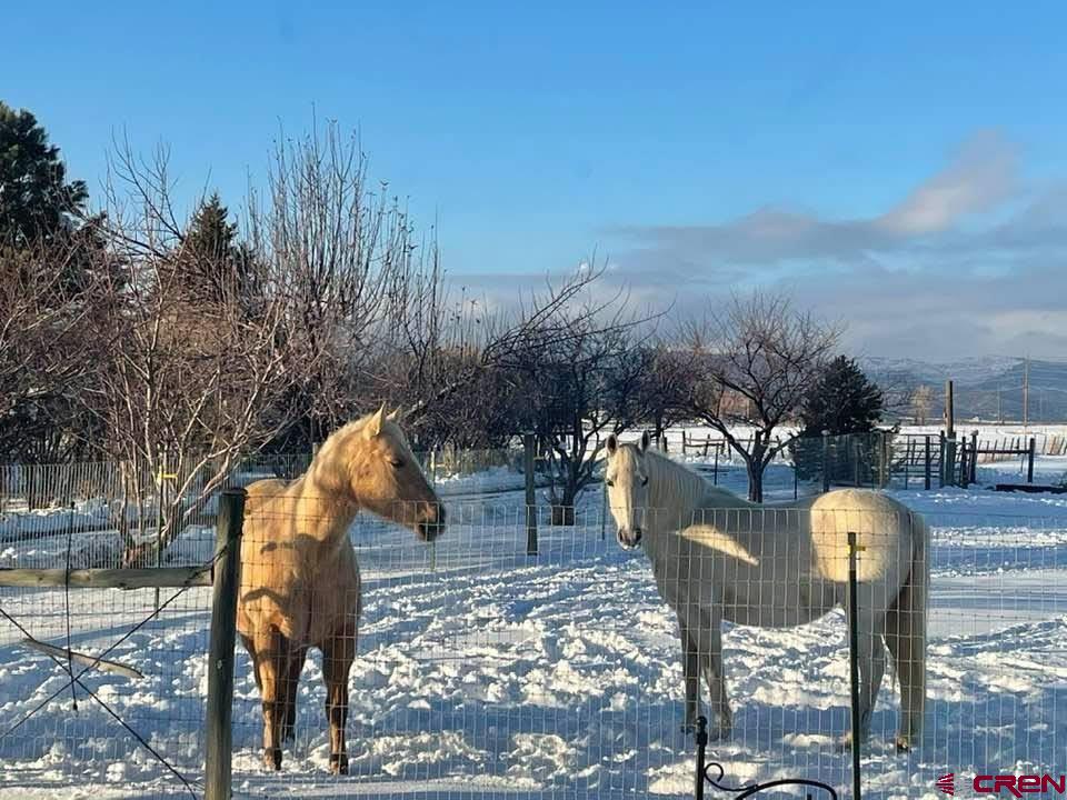 101 Lockhart Road Durango, CO 81303 - Photo 42 of 45
