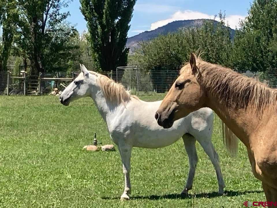 101 Lockhart Road Durango, CO 81303 - Photo 44 of 45