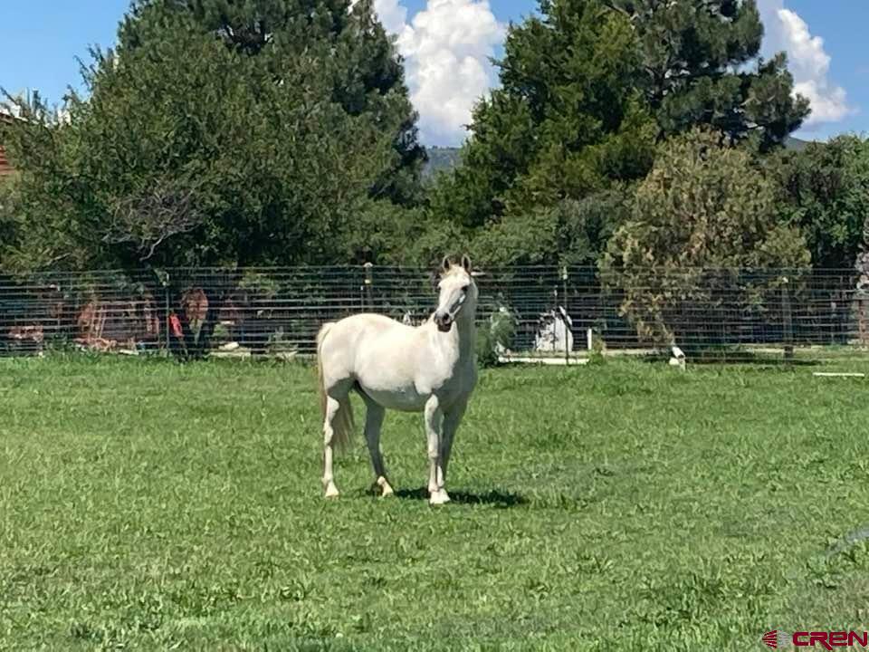 101 Lockhart Road Durango, CO 81303 - Photo 45 of 45