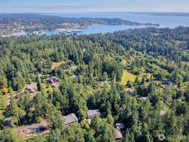 an aerial view of a houses with a lush green hillside