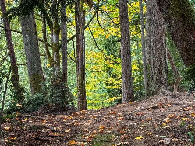 a view of backyard with green space