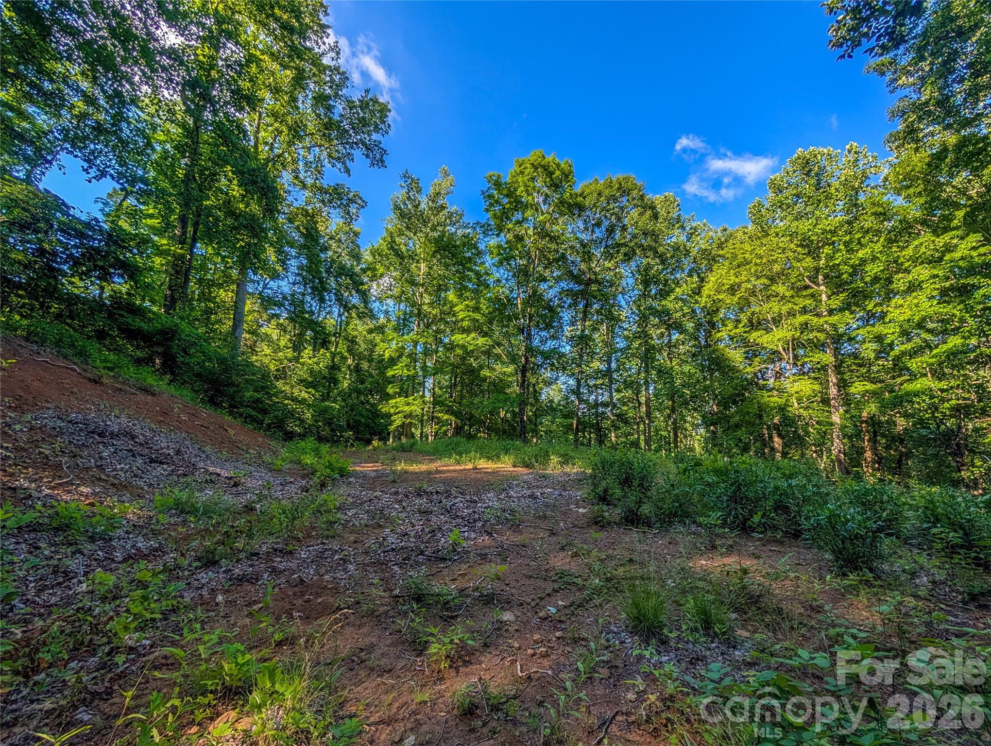 0 Amber Ranches, Unit 47 Bakersville, NC 28705 - Photo 8 of 18
