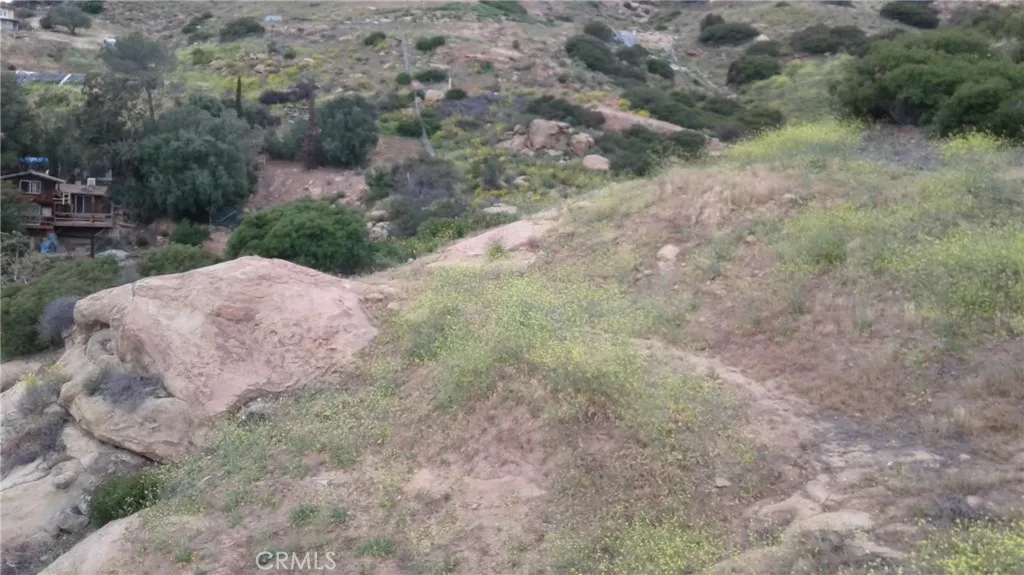 a view of a dry yard with trees