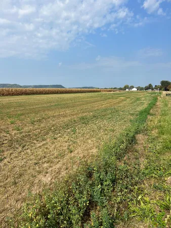 $65,000 | 1510 River Drive South, Wabasha, MN 55981