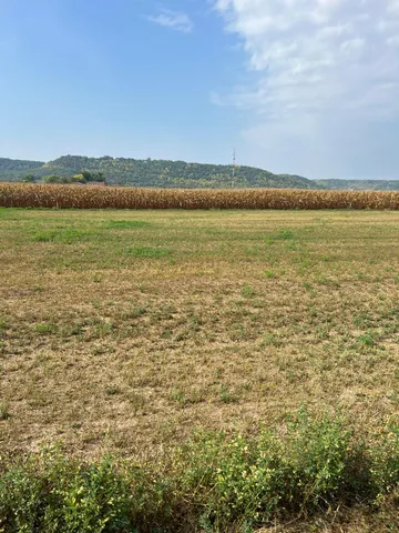 $65,000 | 1510 River Drive South, Wabasha, MN 55981