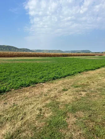 $65,000 | 1510 River Drive South, Wabasha, MN 55981