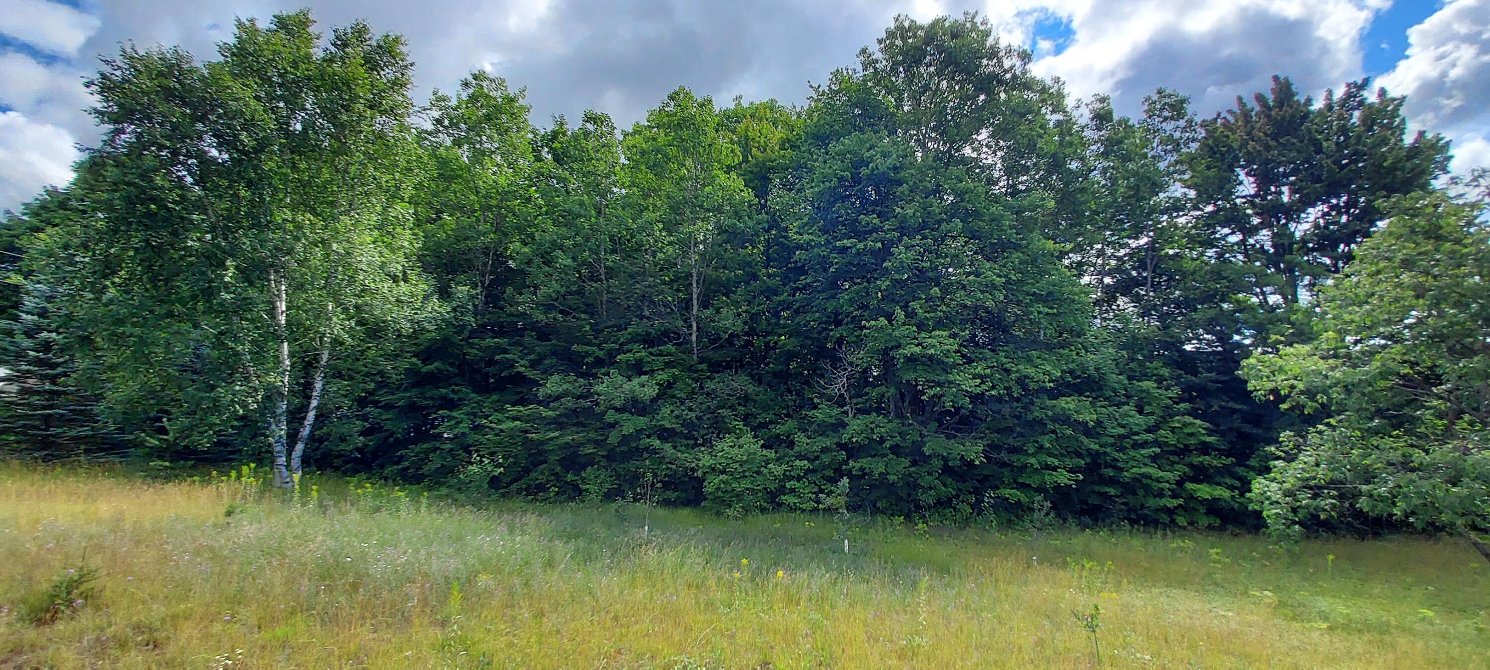 1795 Stonycroft Road Gaylord, MI 49735 - Photo 21 of 58 Gallery Image 21