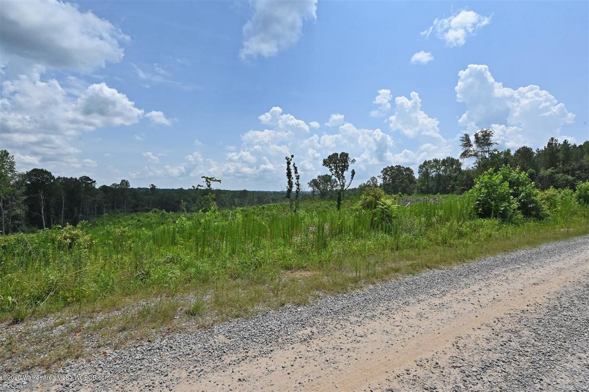 0 Co Road Crane Hill, AL 35053 - Photo 15 of 20 Gallery Image 15