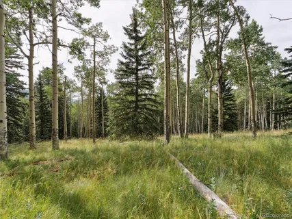a view of a lush green space with sea