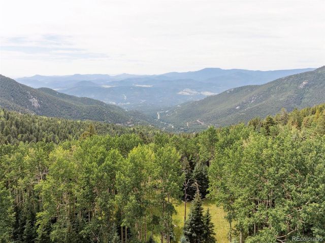 a view of a forest with a street