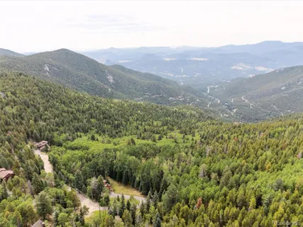 an aerial view of houses covered in trees
