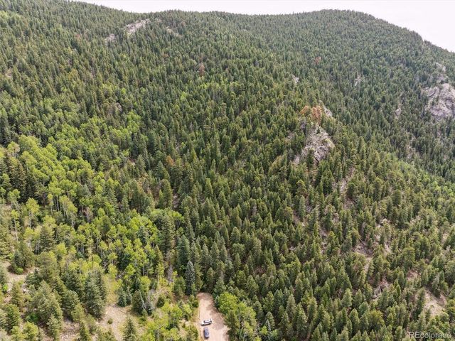 a view of outdoor space and garden
