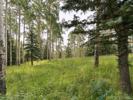 a view of outdoor space and trees