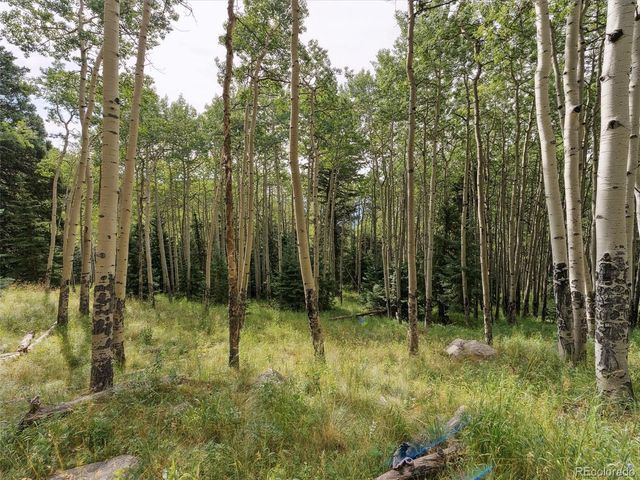 a view of a tree in the middle of a yard