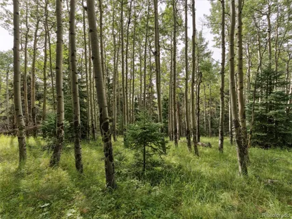 a view of a city with lush green forest
