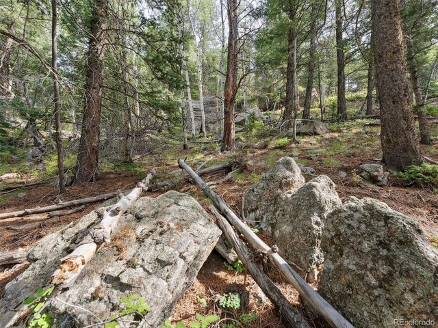 $1,600,000 | 0 Meadowlark Drive, Evergreen, CO 80439