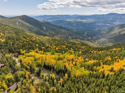a view of a lush green hillside and a houses