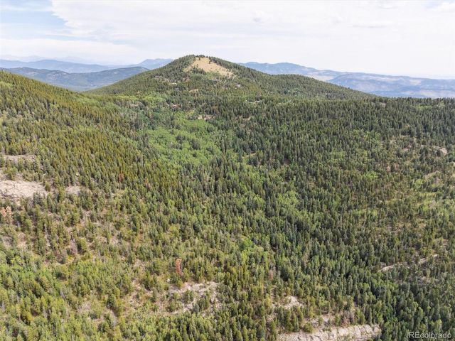 a view of a mountain in the distance in a field