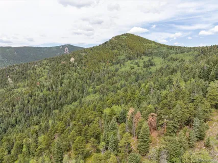 a view of a lush green hillside and a mountain