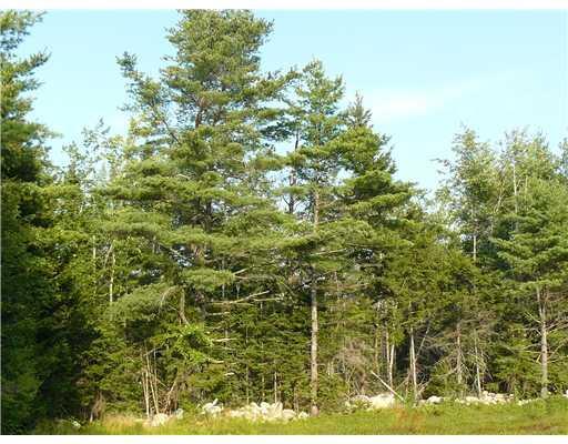0 Campground Road Searsport, ME 04974 - Photo 1 of 2 Land.