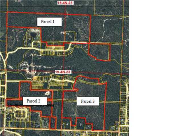 220-acres Lake Silver Road Crestview, FL 32536 - Photo 1 of 28 Gallery Image 1