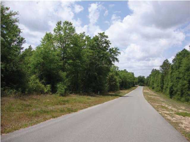 220-acres Lake Silver Road Crestview, FL 32536 - Photo 15 of 28 Gallery Image 15