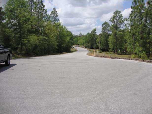 220-acres Lake Silver Road Crestview, FL 32536 - Photo 16 of 28 Gallery Image 16