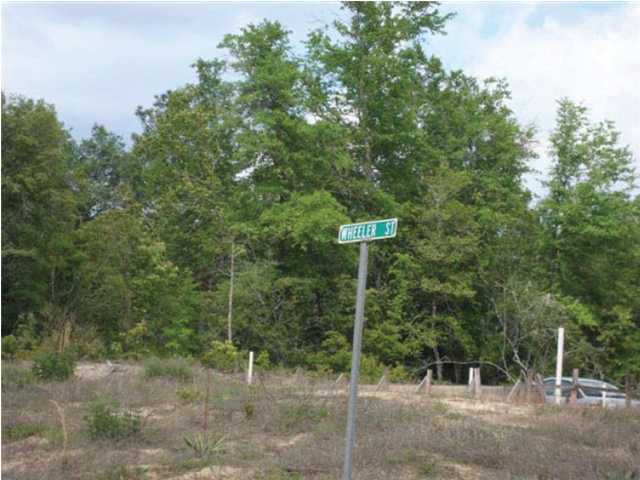 220-acres Lake Silver Road Crestview, FL 32536 - Photo 17 of 28 Gallery Image 17