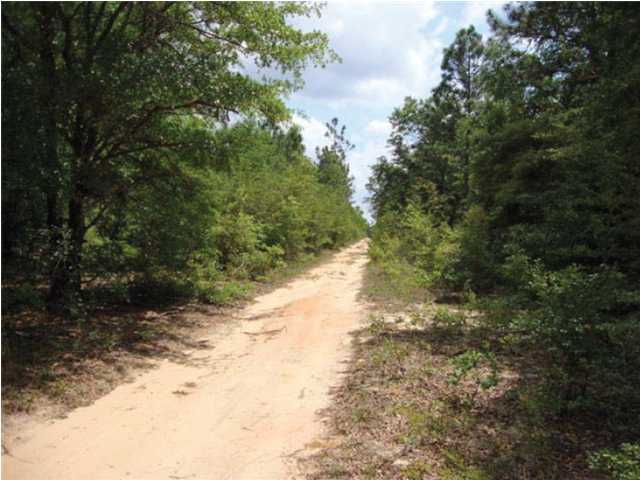 220-acres Lake Silver Road Crestview, FL 32536 - Photo 19 of 28 Gallery Image 19