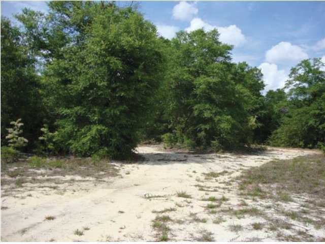 220-acres Lake Silver Road Crestview, FL 32536 - Photo 20 of 28 Gallery Image 20