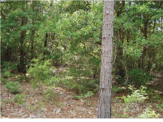 220-acres Lake Silver Road Crestview, FL 32536 - Photo 21 of 28 Gallery Image 21
