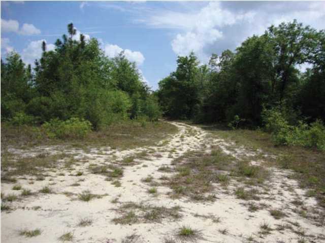 220-acres Lake Silver Road Crestview, FL 32536 - Photo 23 of 28 Gallery Image 23
