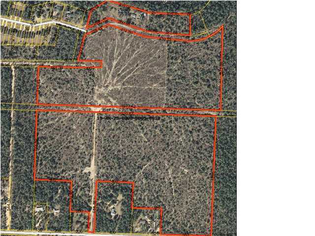 220-acres Lake Silver Road Crestview, FL 32536 - Photo 26 of 28 Gallery Image 26