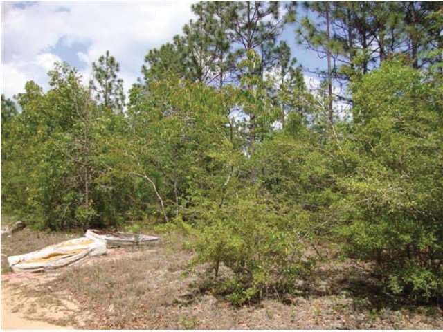 220-acres Lake Silver Road Crestview, FL 32536 - Photo 6 of 28 Gallery Image 6