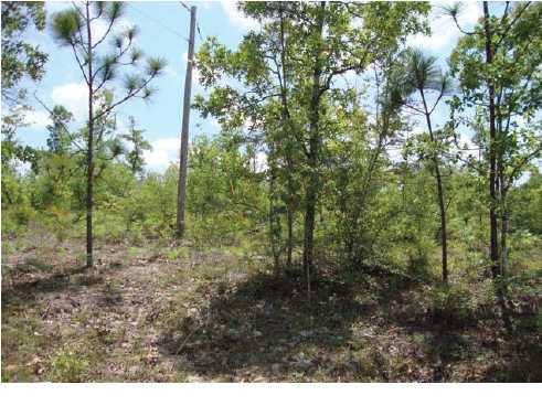 220-acres Lake Silver Road Crestview, FL 32536 - Photo 7 of 28 Gallery Image 7