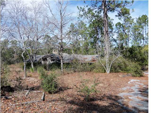 220-acres Lake Silver Road Crestview, FL 32536 - Photo 9 of 28 Gallery Image 9