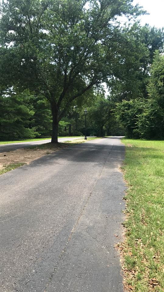 7045 Oak Point Lane Fairhope, AL 36532 - Photo 9 of 10