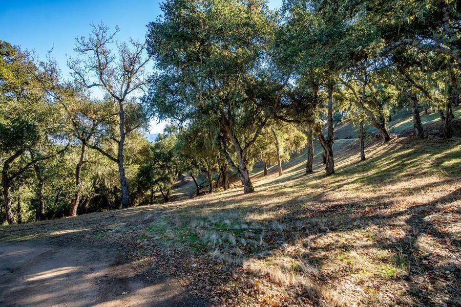 17114 Cachagua Road Carmel Valley, CA 93924 - Photo 20 of 32