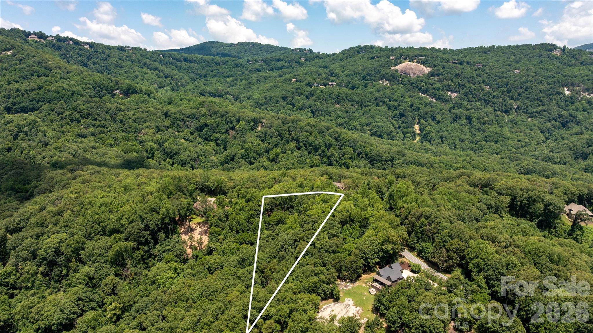 Lot 22 Plumley Summit Road, Unit 22 Landrum, SC 29356 - Photo 7 of 27