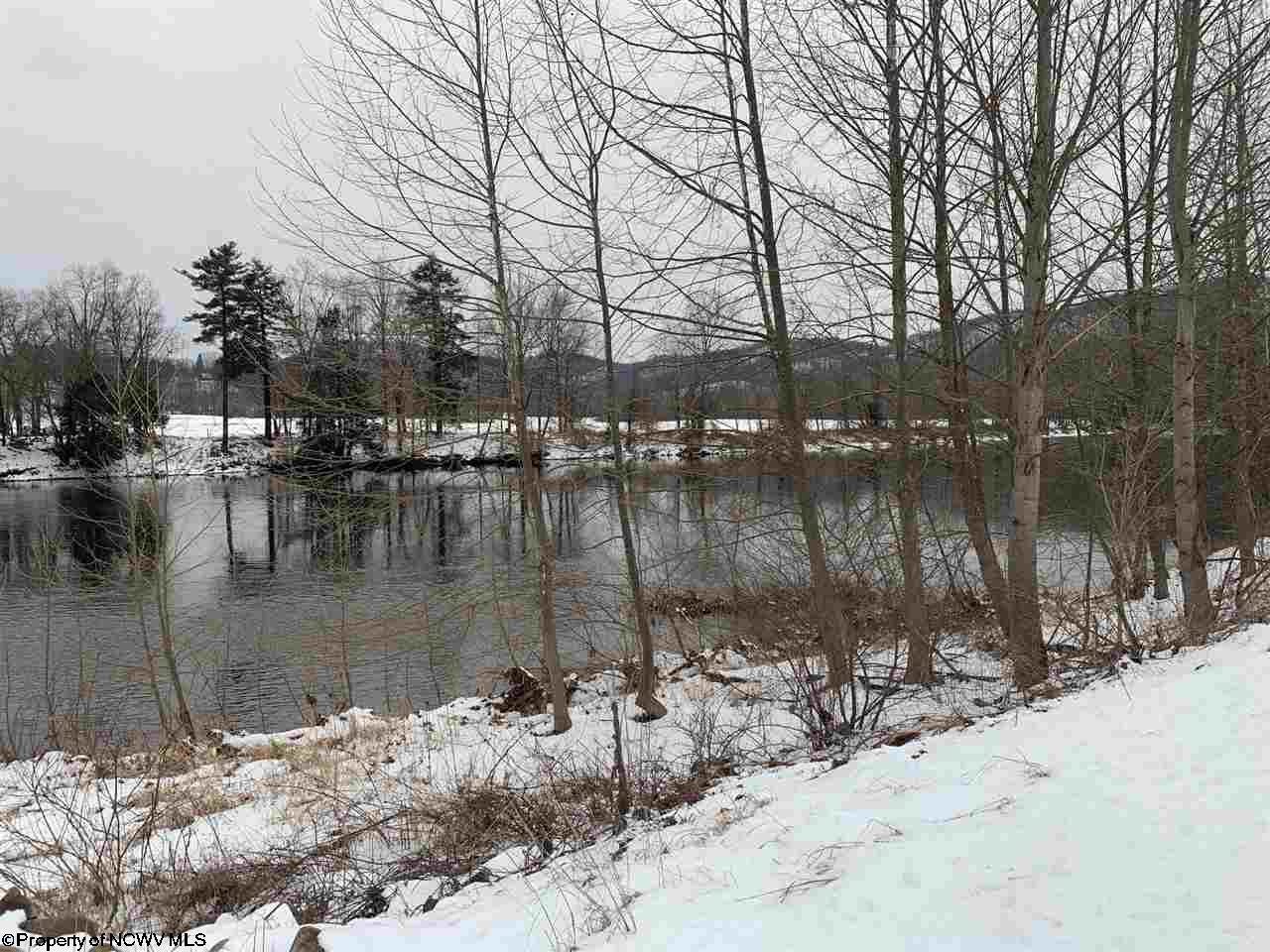 972 River Bend Estate Road Parsons, WV 26287 - Photo 12 of 28 Gallery Image 12